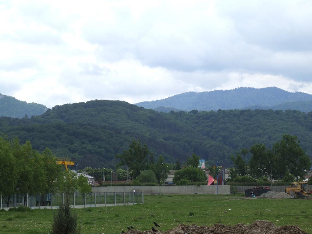 Anca Brașov