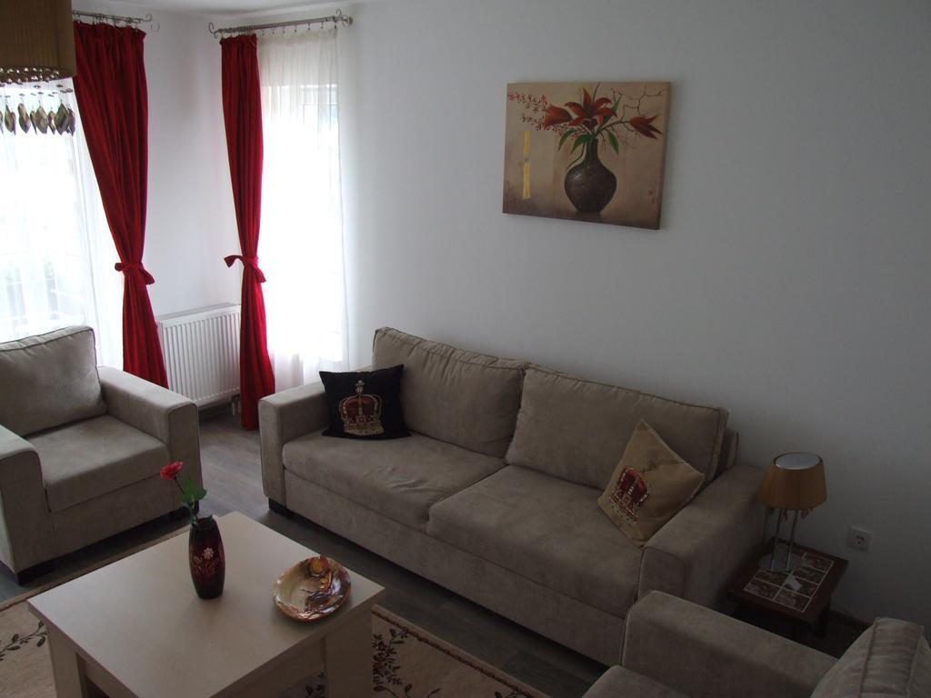 Apartment Anca *