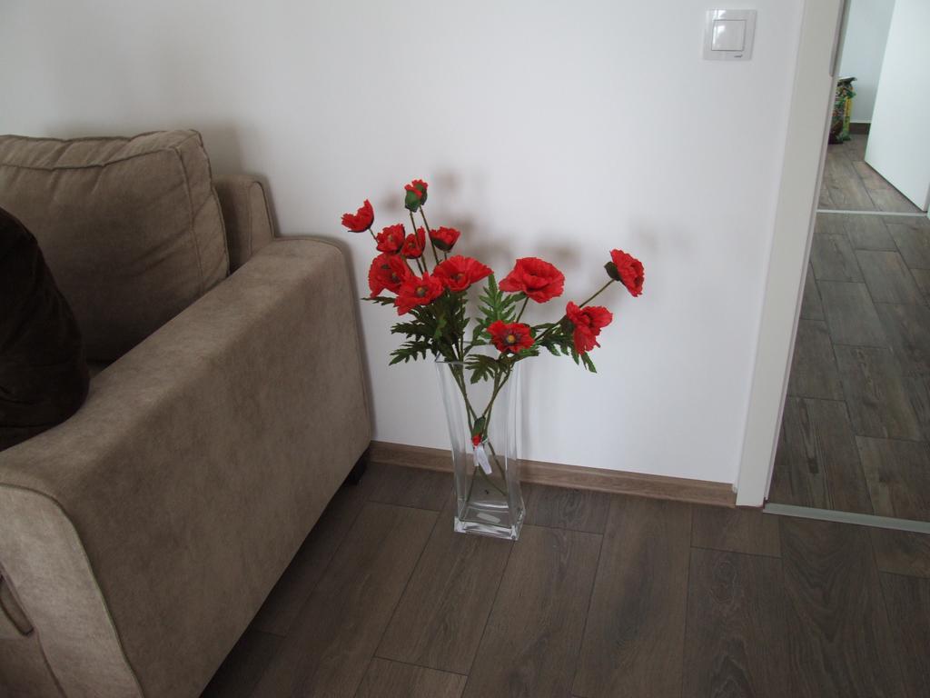 Apartment Anca