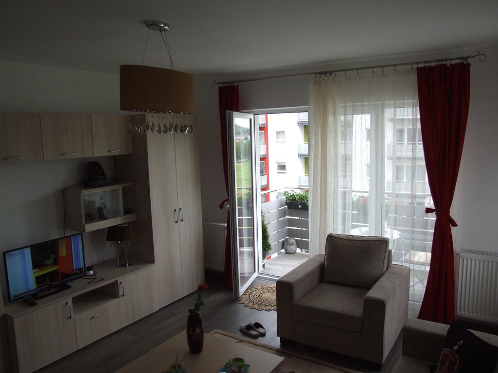 Apartment Anca *