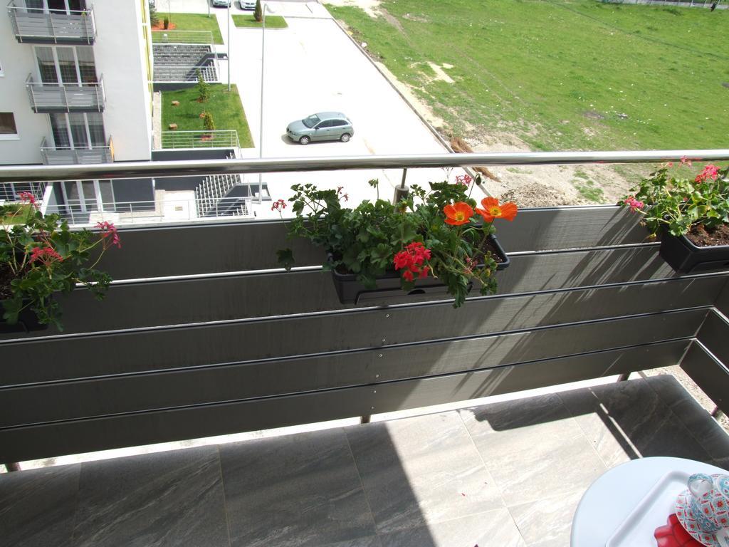 Apartment Anca *