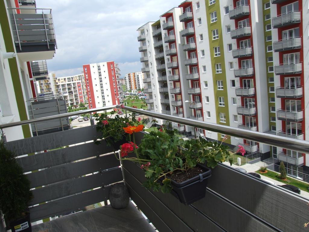 Apartment Anca Brașov
